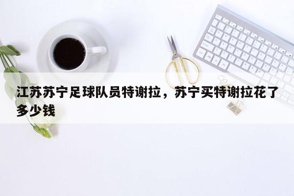 江苏苏宁足球队员特谢拉，苏宁买特谢拉花了多少钱