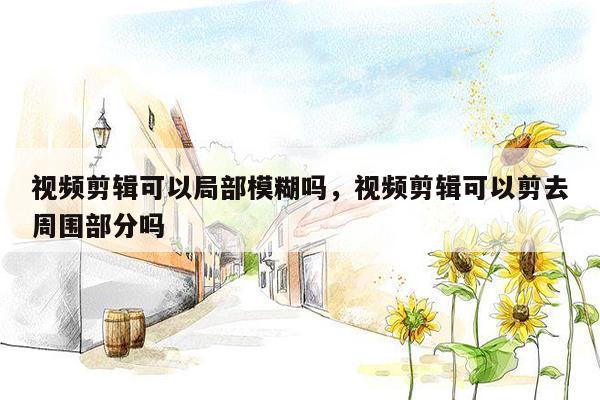 视频剪辑可以局部模糊吗，视频剪辑可以剪去周围部分吗