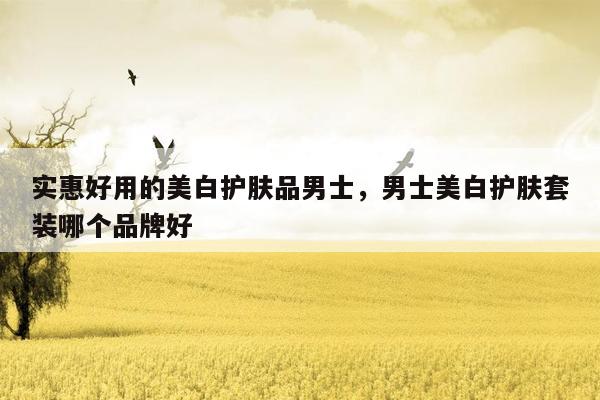 实惠好用的美白护肤品男士，男士美白护肤套装哪个品牌好