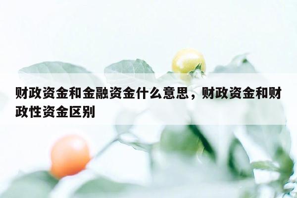 财政资金和金融资金什么意思，财政资金和财政性资金区别