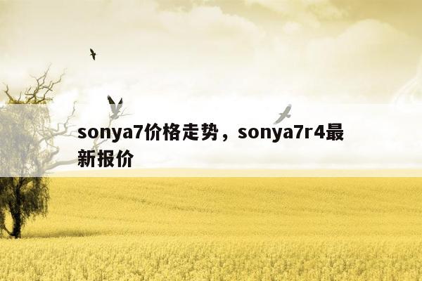 sonya7价格走势，sonya7r4最新报价