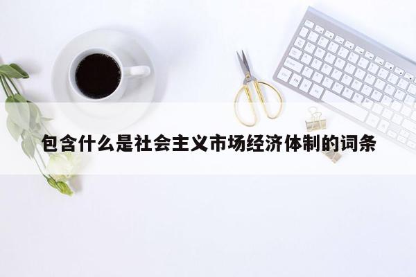 包含什么是社会主义市场经济体制的词条