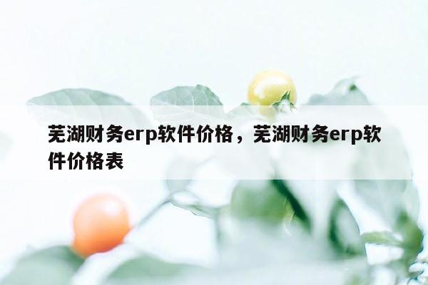 芜湖财务erp软件价格，芜湖财务erp软件价格表