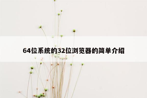 64位系统的32位浏览器的简单介绍