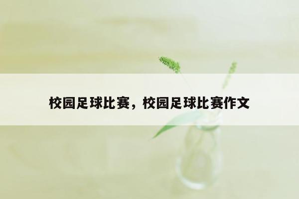 校园足球比赛，校园足球比赛作文