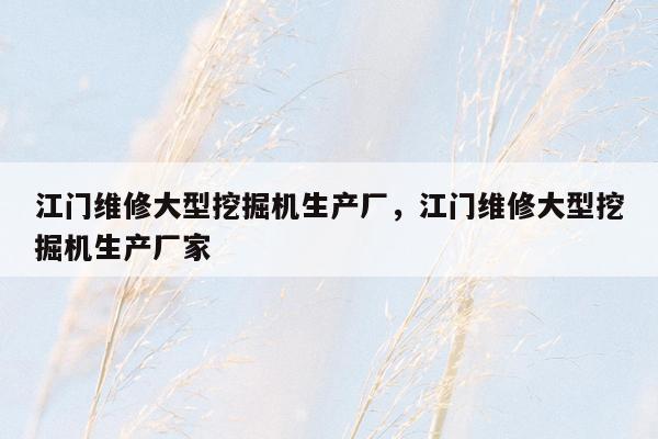 江门维修大型挖掘机生产厂，江门维修大型挖掘机生产厂家