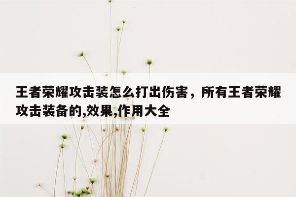 王者荣耀攻击装怎么打出伤害，所有王者荣耀攻击装备的,效果,作用大全