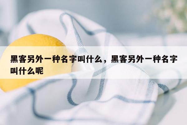 黑客另外一种名字叫什么，黑客另外一种名字叫什么呢