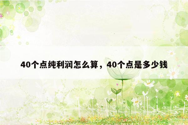 40个点纯利润怎么算，40个点是多少钱