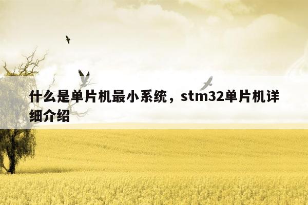 什么是单片机最小系统，stm32单片机详细介绍