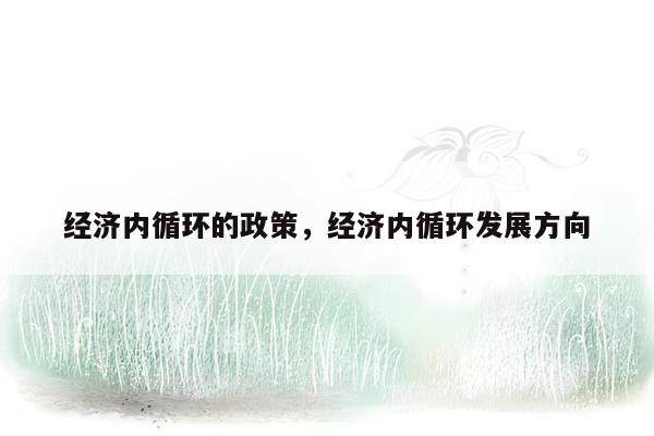 经济内循环的政策，经济内循环发展方向