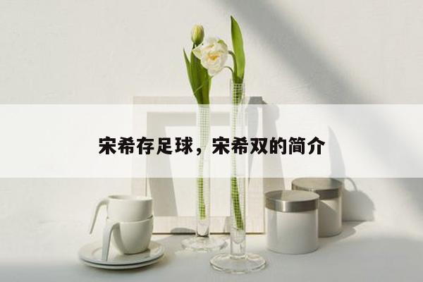 宋希存足球，宋希双的简介