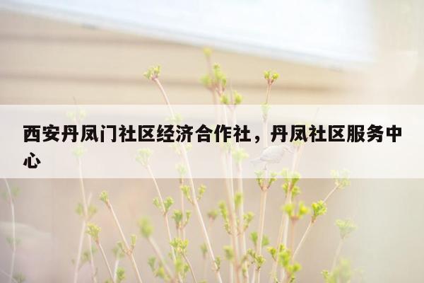 西安丹凤门社区经济合作社，丹凤社区服务中心