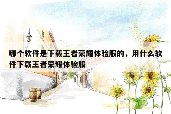 哪个软件是下载王者荣耀体验服的，用什么软件下载王者荣耀体验服
