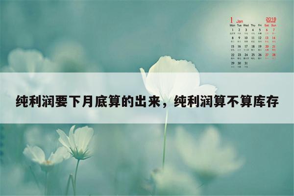 纯利润要下月底算的出来，纯利润算不算库存