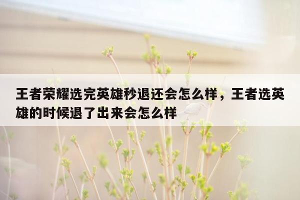 王者荣耀选完英雄秒退还会怎么样，王者选英雄的时候退了出来会怎么样