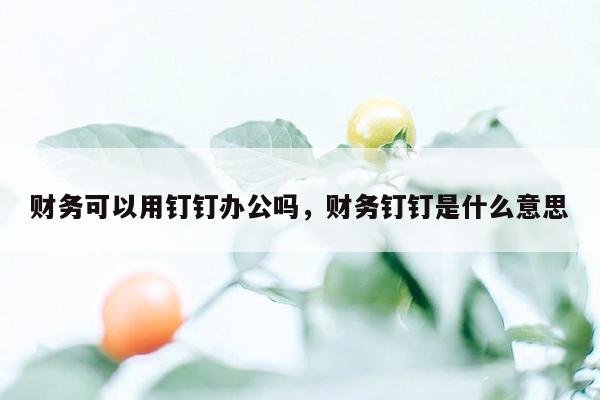 财务可以用钉钉办公吗，财务钉钉是什么意思
