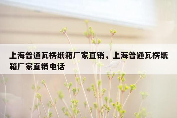 上海普通瓦楞纸箱厂家直销，上海普通瓦楞纸箱厂家直销电话