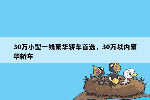 30万小型一线豪华轿车首选，30万以内豪华轿车