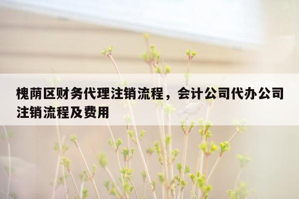 槐荫区财务代理注销流程，会计公司代办公司注销流程及费用