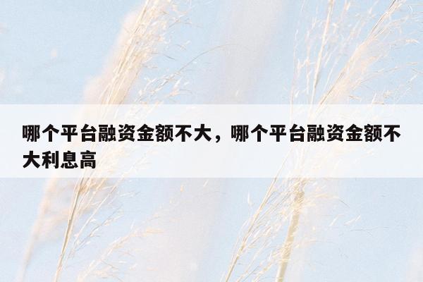 哪个平台融资金额不大，哪个平台融资金额不大利息高