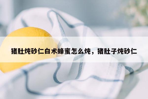 猪肚炖砂仁白术蜂蜜怎么炖，猪肚子炖砂仁