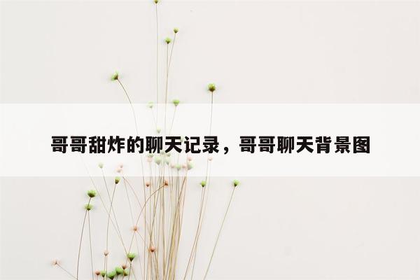 哥哥甜炸的聊天记录，哥哥聊天背景图