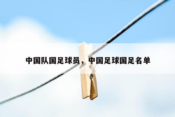 中国队国足球员，中国足球国足名单