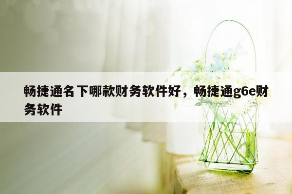 畅捷通名下哪款财务软件好，畅捷通g6e财务软件