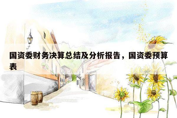 国资委财务决算总结及分析报告，国资委预算表