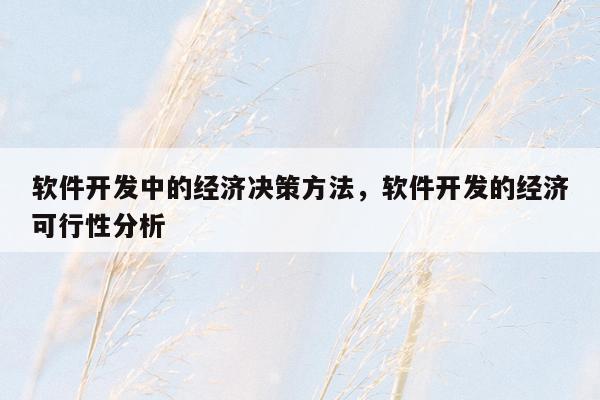 软件开发中的经济决策方法，软件开发的经济可行性分析