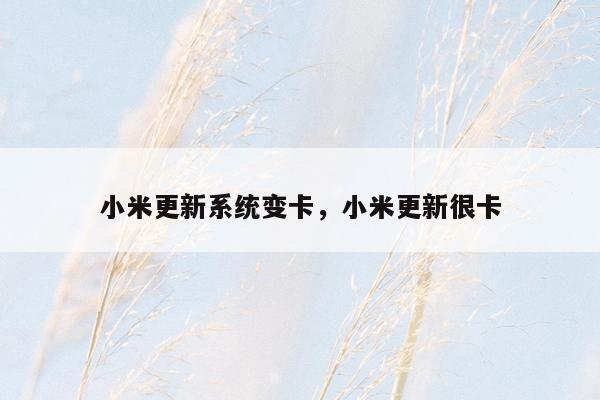 小米更新系统变卡，小米更新很卡