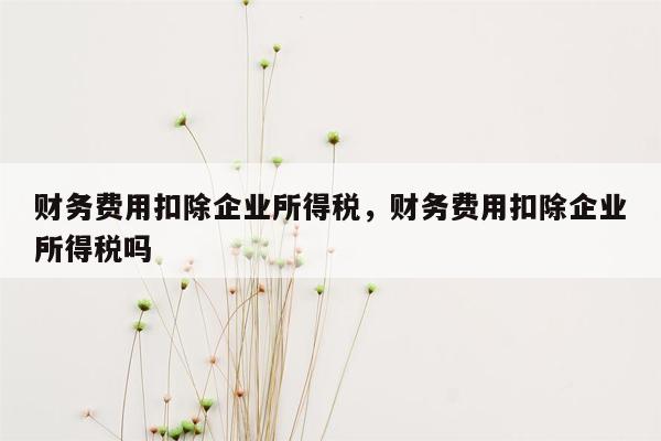 财务费用扣除企业所得税，财务费用扣除企业所得税吗