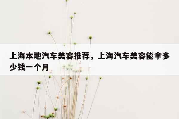 上海本地汽车美容推荐，上海汽车美容能拿多少钱一个月