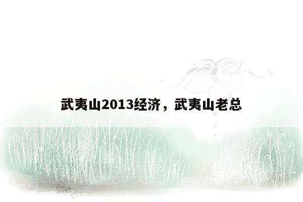 武夷山2013经济，武夷山老总