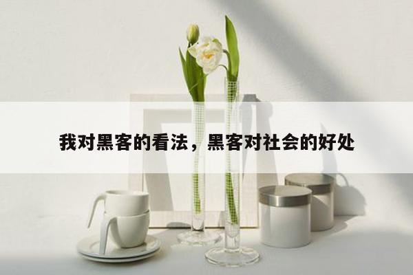 我对黑客的看法，黑客对社会的好处