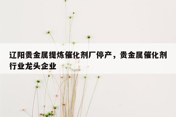辽阳贵金属提炼催化剂厂停产，贵金属催化剂行业龙头企业