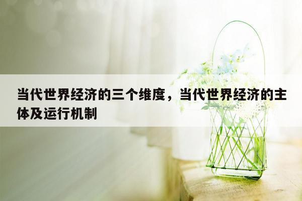 当代世界经济的三个维度，当代世界经济的主体及运行机制