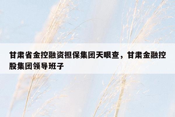 甘肃省金控融资担保集团天眼查，甘肃金融控股集团领导班子