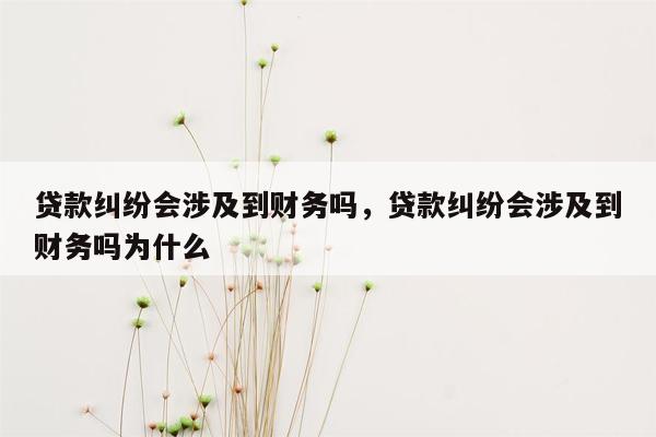 贷款纠纷会涉及到财务吗，贷款纠纷会涉及到财务吗为什么